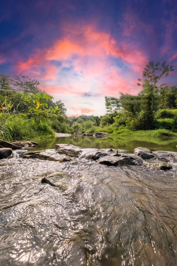 Ảnh Viva Homestay HB2 - 14