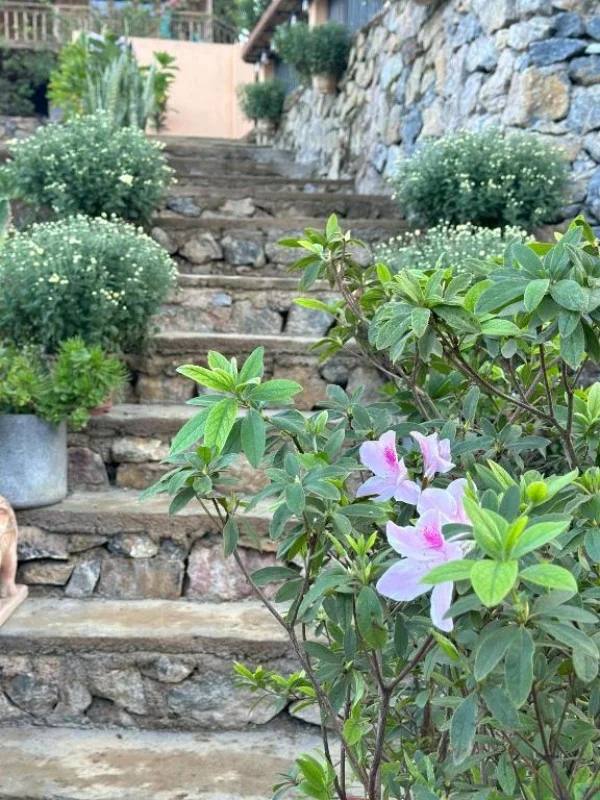 Ảnh Viva Homestay MC 08 - 10