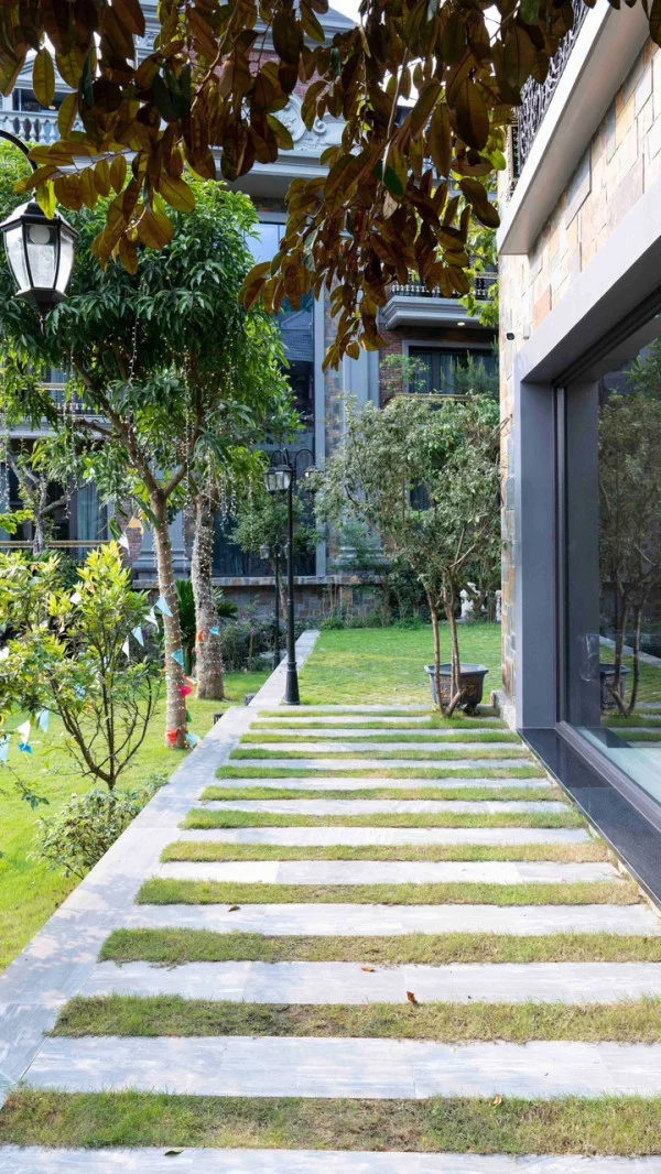 Ảnh Viva TĐ41 - 10