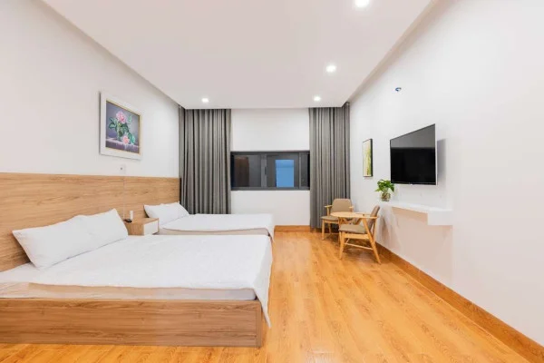 Ảnh Viva VT45 - 12