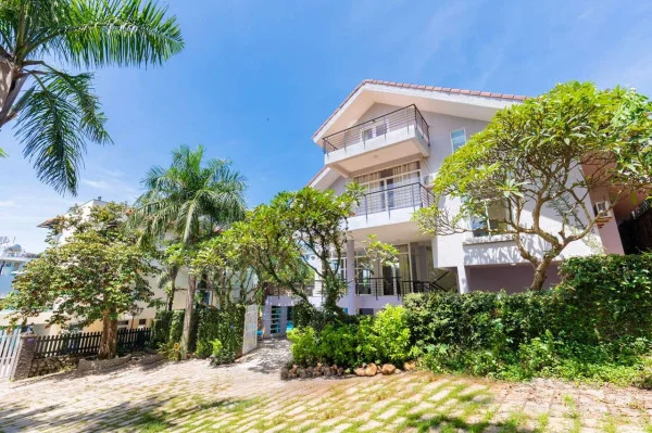 Ảnh VIva VT63 - 40