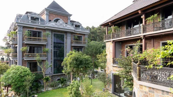 Ảnh Viva TĐ41 - 15