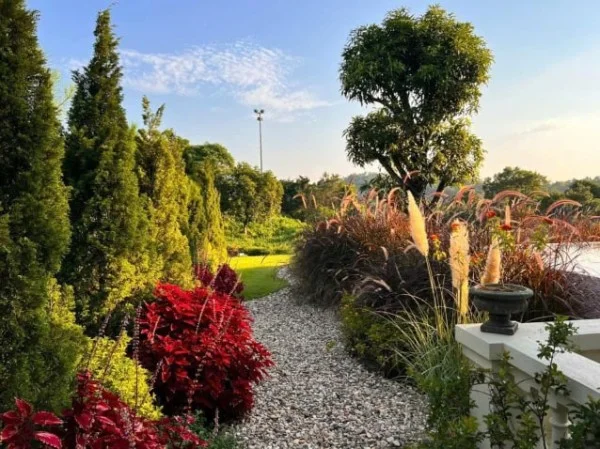 Ảnh Viva TĐ19 - 12