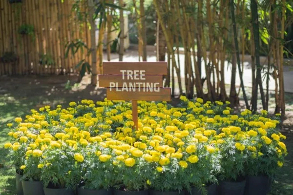 Ảnh The Cliff Resort & Residences, Mui Ne - 17