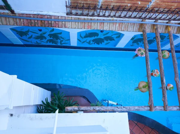 Ảnh Viva VT25 - 10