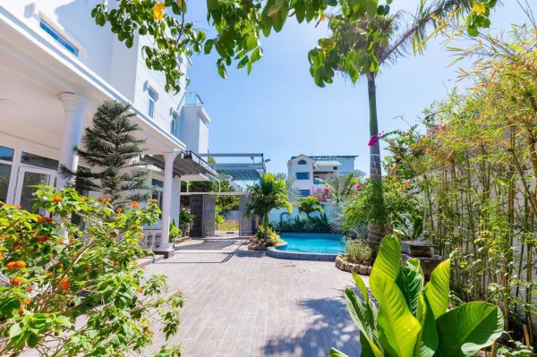 Ảnh Viva VT30 - 17