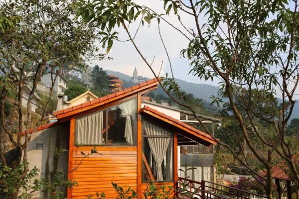 Ảnh Viva Homestay T2 - 17