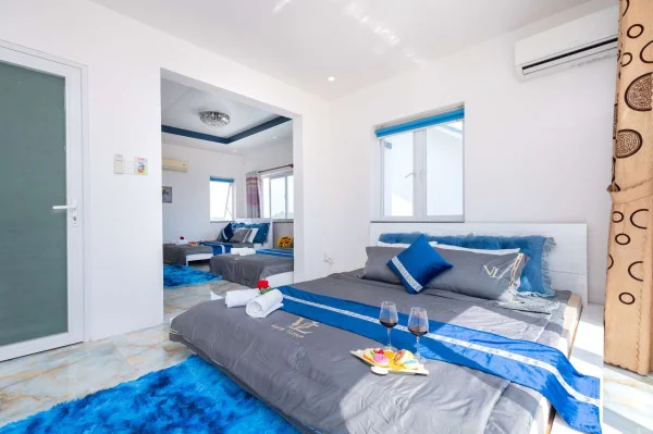 Ảnh Viva VT08 - 20