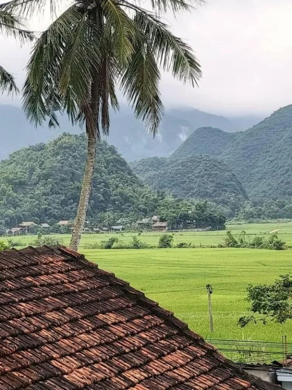 Ảnh Viva Mai Châu B5 - 11