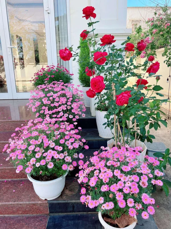 Ảnh Bảo Hân 1 - 44