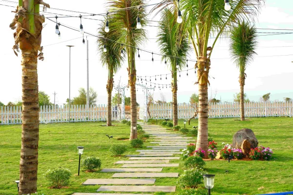 Ảnh Viva PT06 - 66