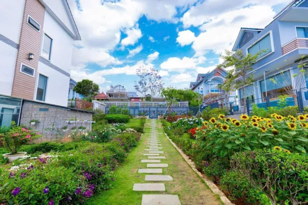 Ảnh Viva ĐL08 - 13