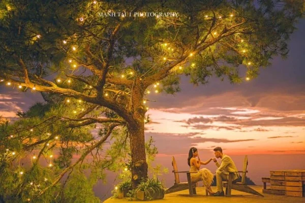 Ảnh Viva Homestay T7