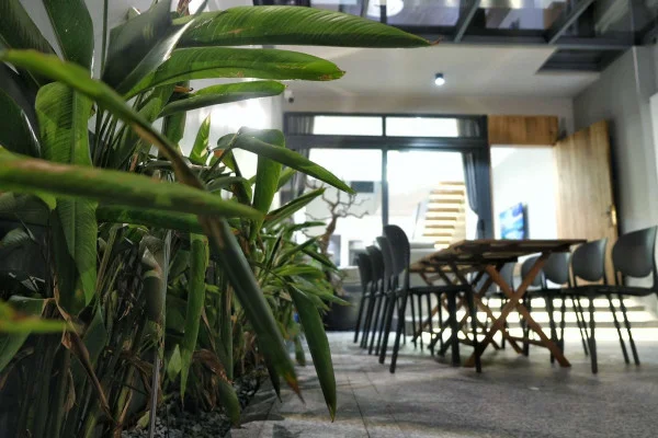 Ảnh Viva VT02 - 34