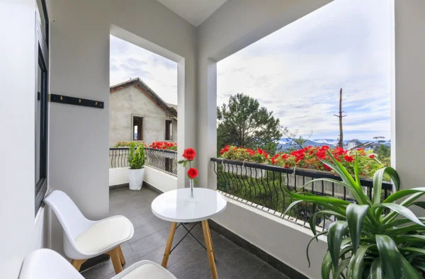 Ảnh Viva ĐL04 - 12