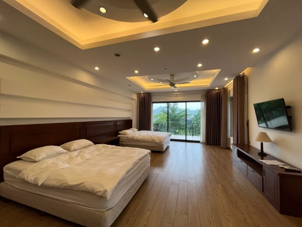 Ảnh Viva TĐ08 - 16