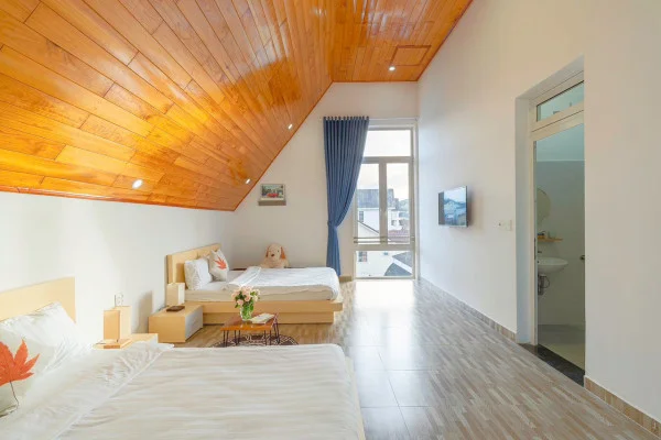 Ảnh Viva ĐL29 - 10