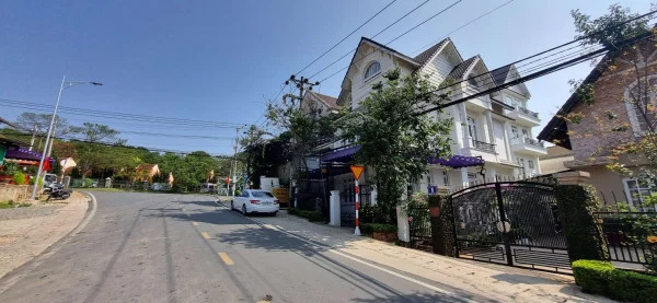 Ảnh Cẩm Tú Cầu 2