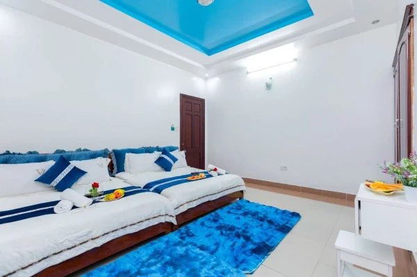 Ảnh Viva VT17 - 29