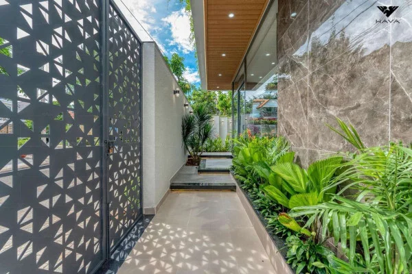 Ảnh Viva VT61 - 36