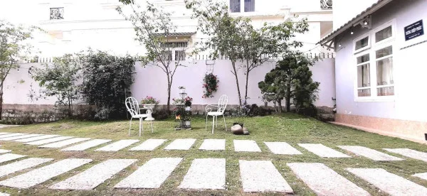 Ảnh Cẩm Tú Cầu 1