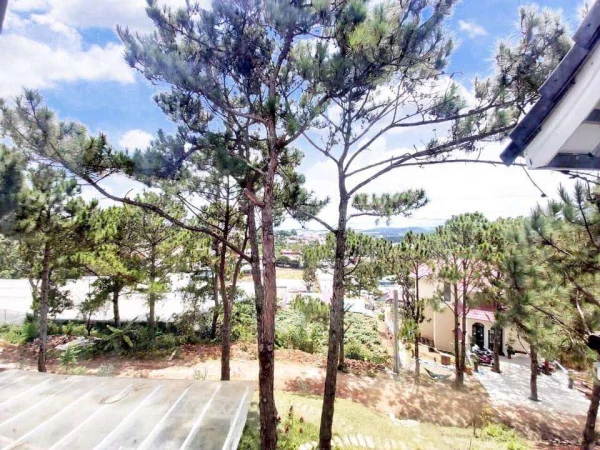 Ảnh Viva ĐL48 - 42