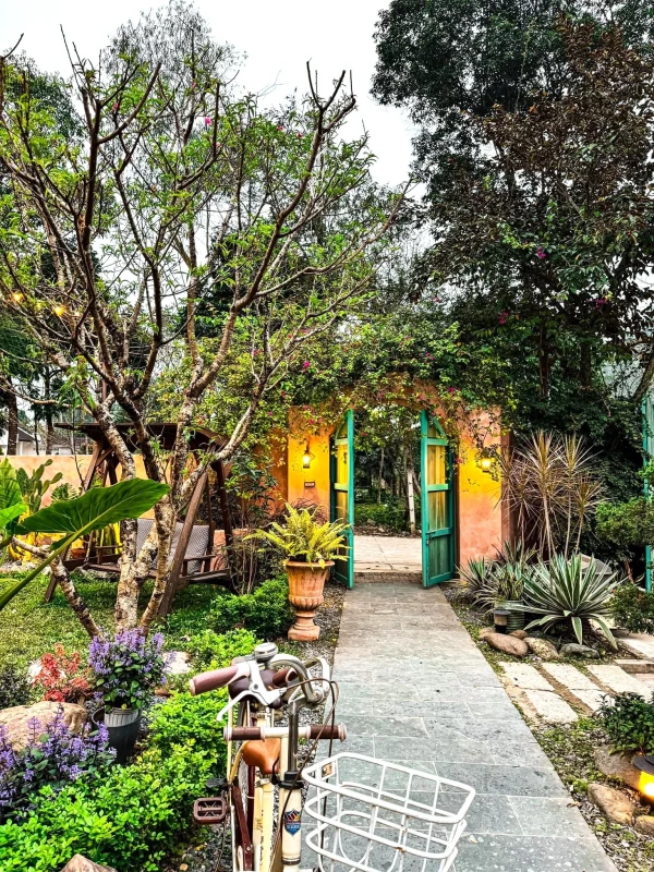 Ảnh Viva B01-01 - 11