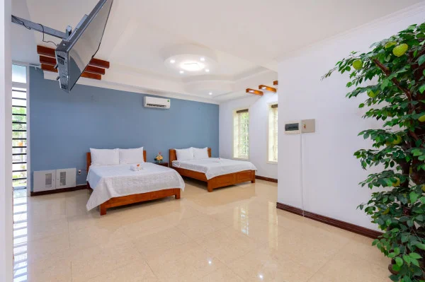 Ảnh Viva VT73 - 41