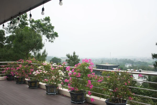 Ảnh Viva TĐ42 - 9