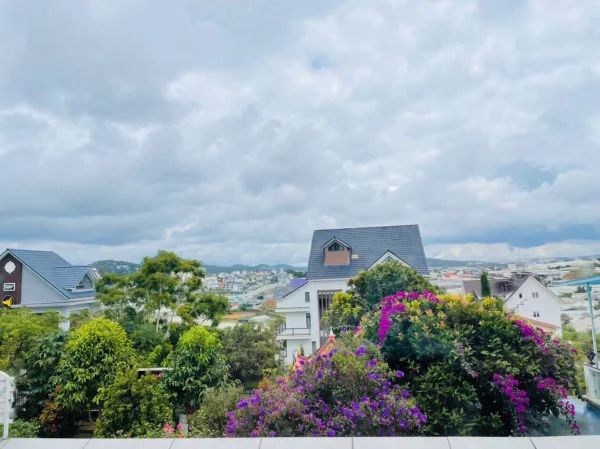 Ảnh Viva ĐL24 - 19