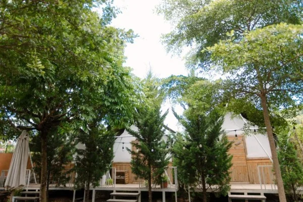 Ảnh Viva Homestay MC 10 - 16