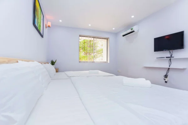 Ảnh Viva VT74 - 21