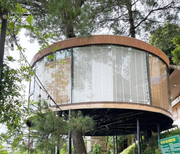 Ảnh Viva Homestay T7 - 8