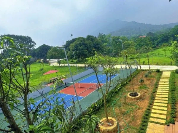 Ảnh Viva BVMT - Sân Pickleball