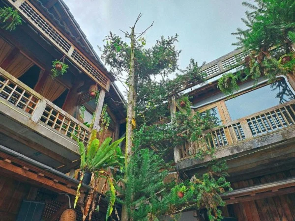 Ảnh Viva Homestay MC 03 - 13