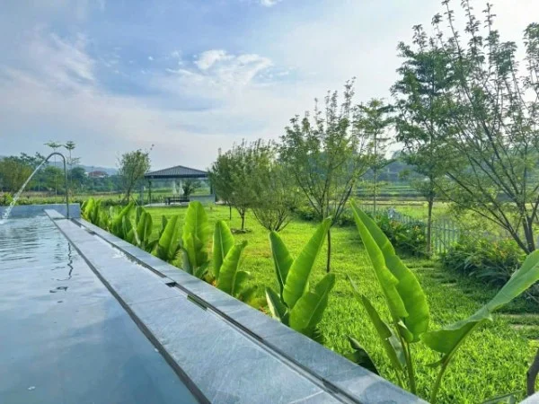 Ảnh Viva BVMT - Sân Pickleball - 20