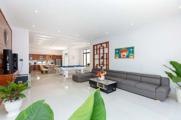 Ảnh Viva VT10 - 18