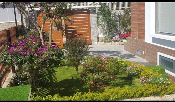 Ảnh Viva ĐL08 - 21