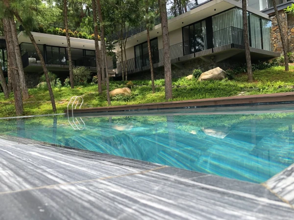 Ảnh Viva TĐ12 - 13