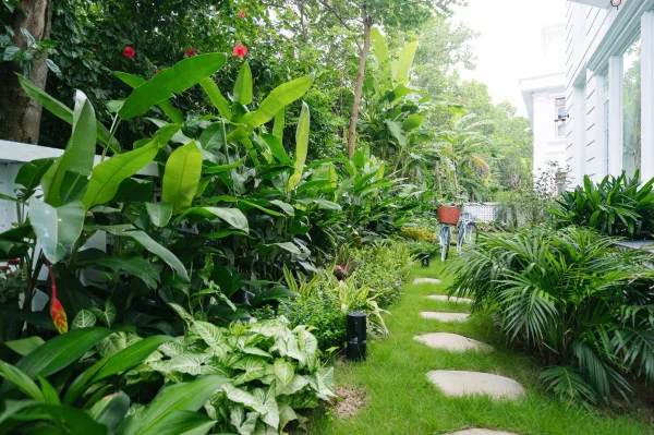 Ảnh B82 Flamingo Đại Lải - 11