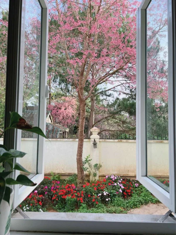 Ảnh Bảo Hân 1 - 21