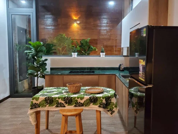 Ảnh Viva PT19 - 12