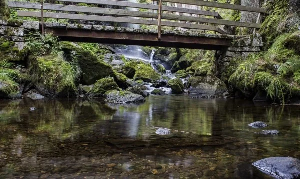 Ảnh Viva Homestay HB2