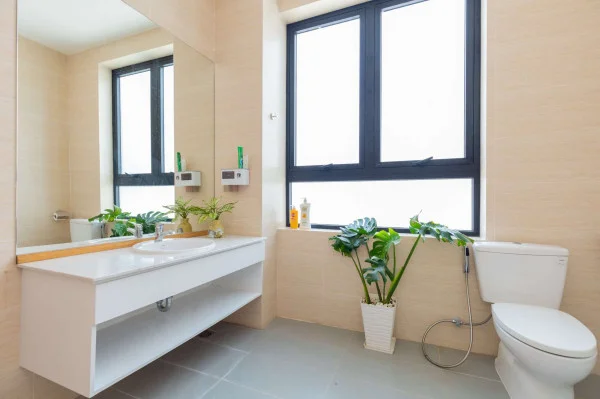 Ảnh Viva VT84 - 17