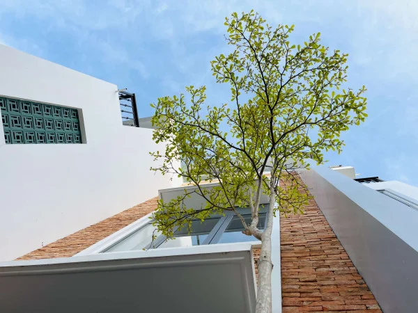 Ảnh Nhím Villa - 35