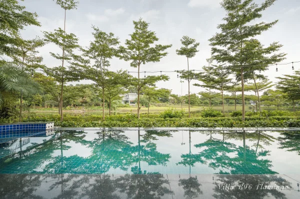 Ảnh B96 Flamingo Đại Lải