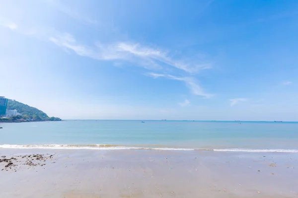 Ảnh Viva VT92 - 13