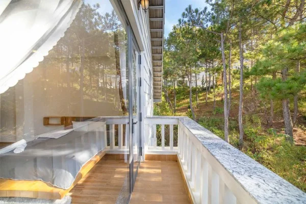 Ảnh Viva ĐL13 - 13