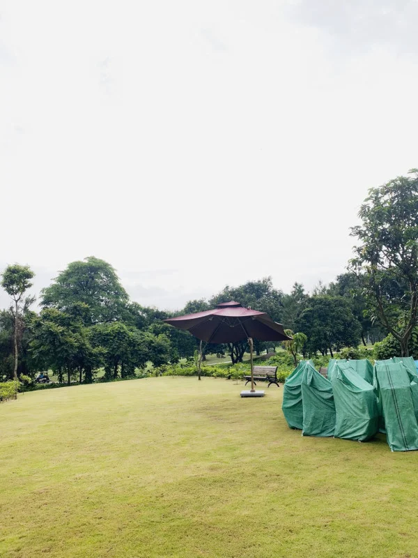 Ảnh Viva TĐ30 - 19