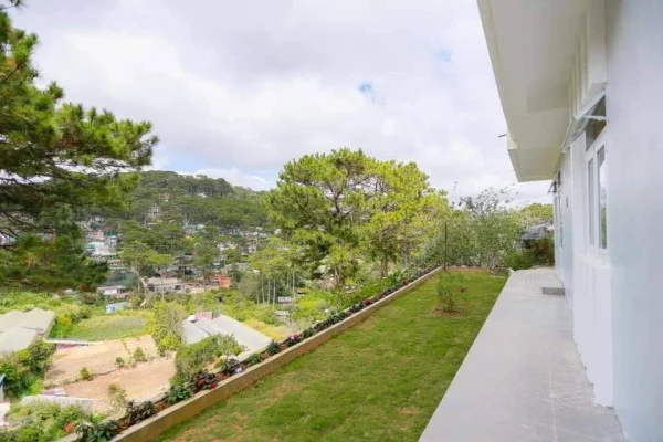 Ảnh Viva ĐL45 - 14